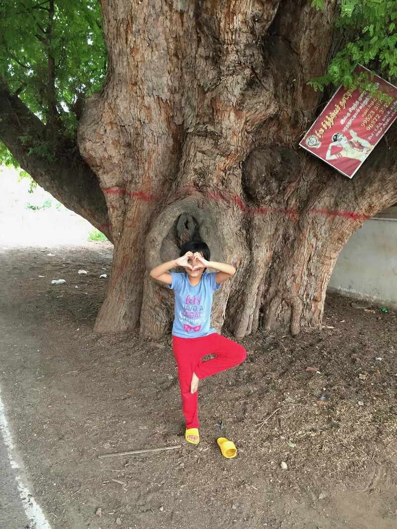 A child standing in tree pose against the trunk of a very large old tree