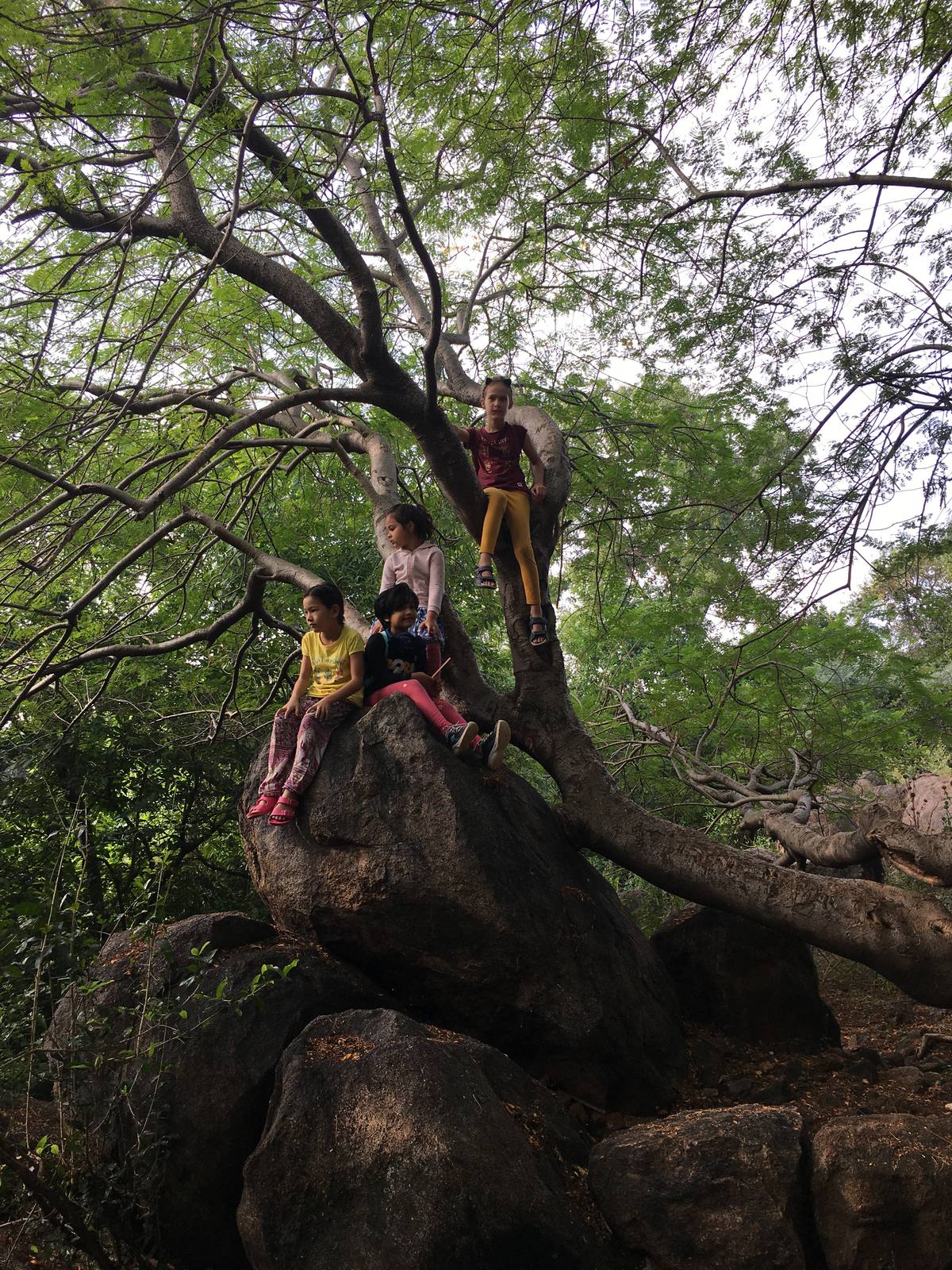 At the nature camp in Tiruvannamalai — Inner Companion Foundation