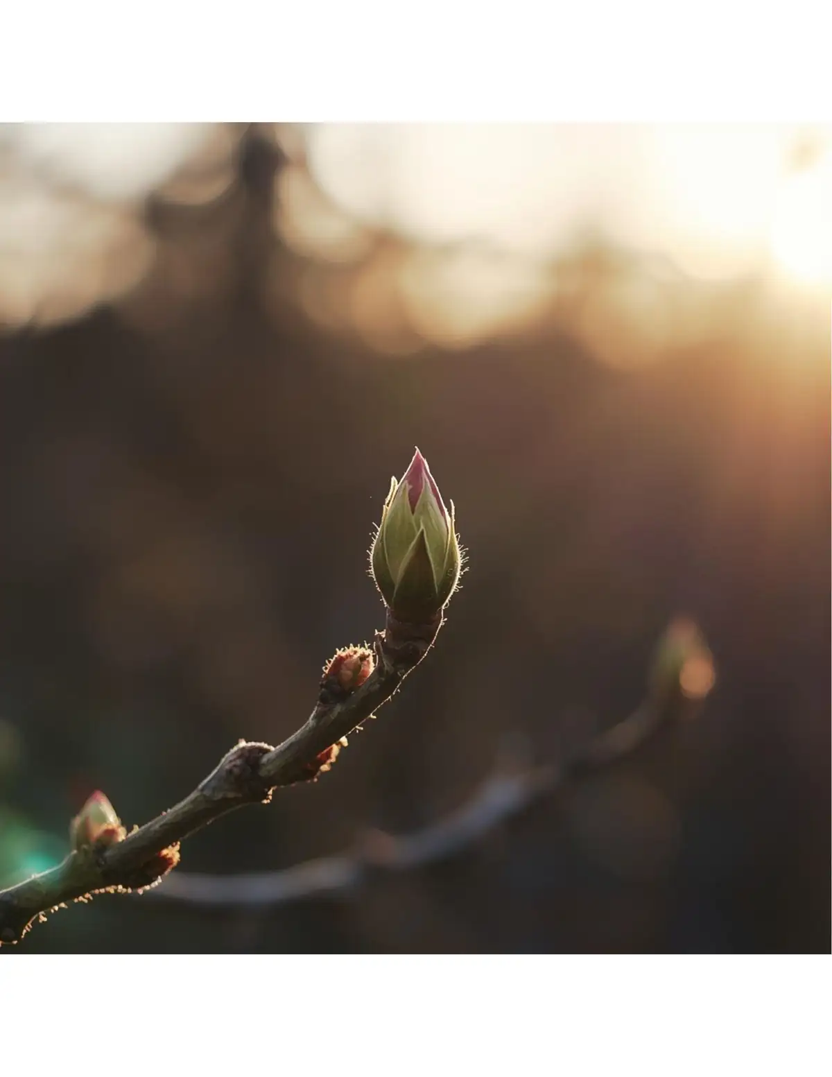 Potential for Change