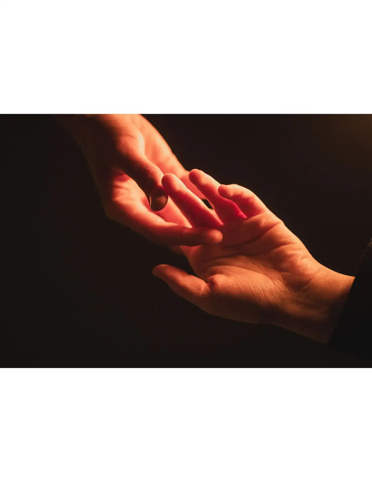 Wholesome Nourishment: What It Actually Means to Feed Yourself